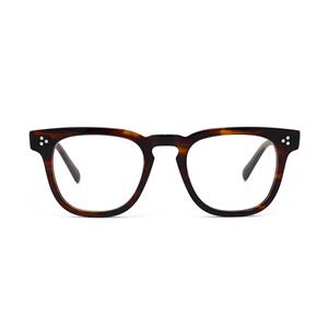 Plastic eyeglasses frame