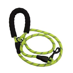 Pet leash